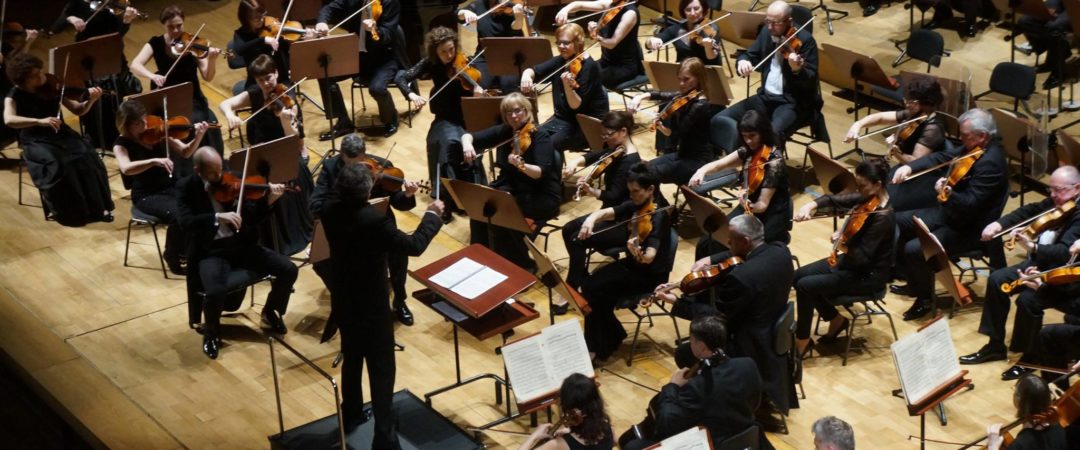 18700823_756602991167443_3479968764821226448_o